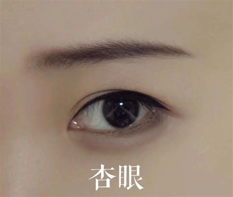 杏眼桃花眼怎麼分|带你们认识各种眼型 (丹凤眼、杏眼、桃花眼)